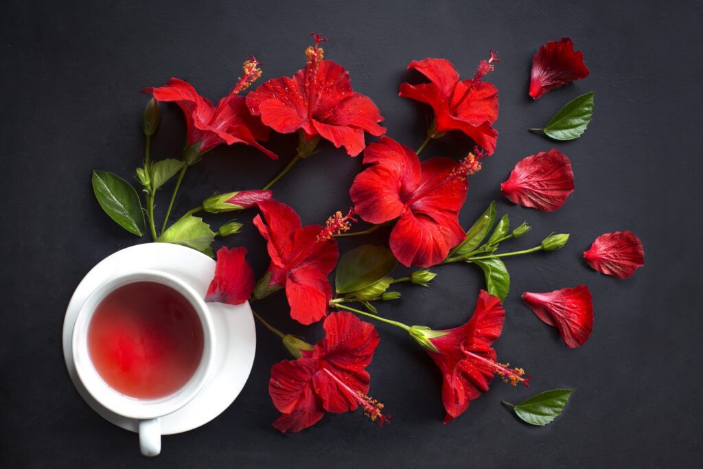 Chá de hibisco: para que serve, como preparar e quem deve evitar